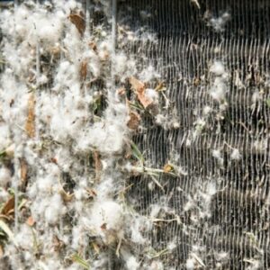 metal fins on an outdoor AC unit heavily coated in white fluffy cottonwood seeds